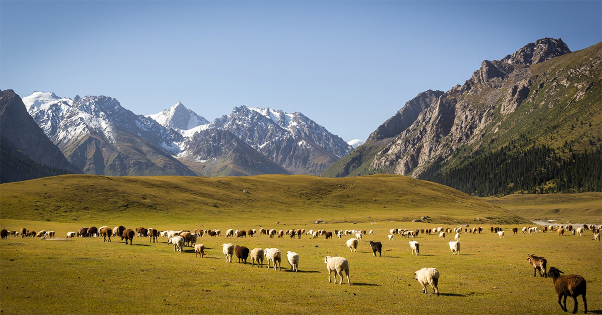 Sary Jaz Valley Trip To Kyrgyzstan