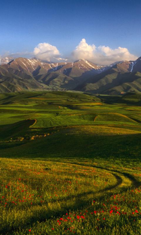 Kyrgyz Ala-Too