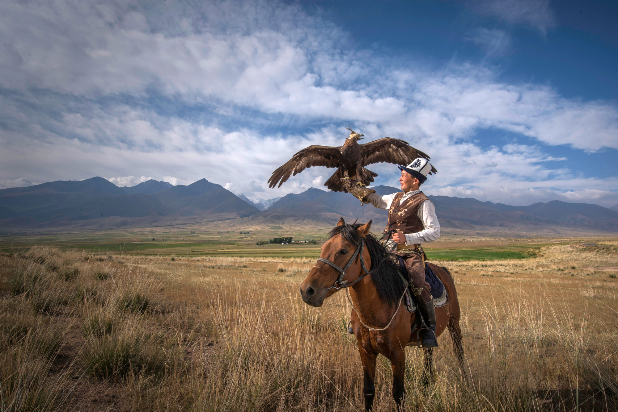 Eagle hunting Kyrgyzstan