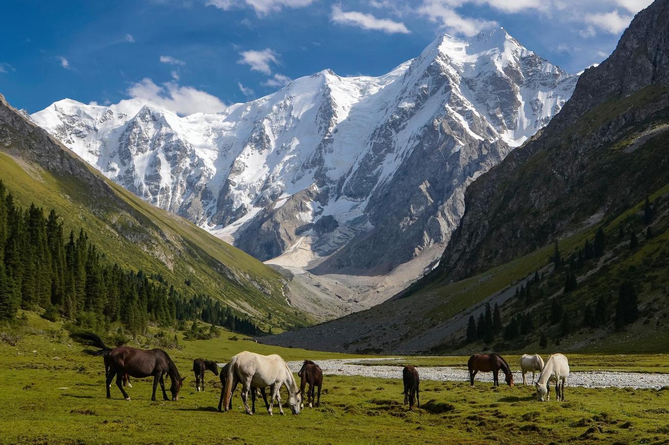 Oguz Bashi valley