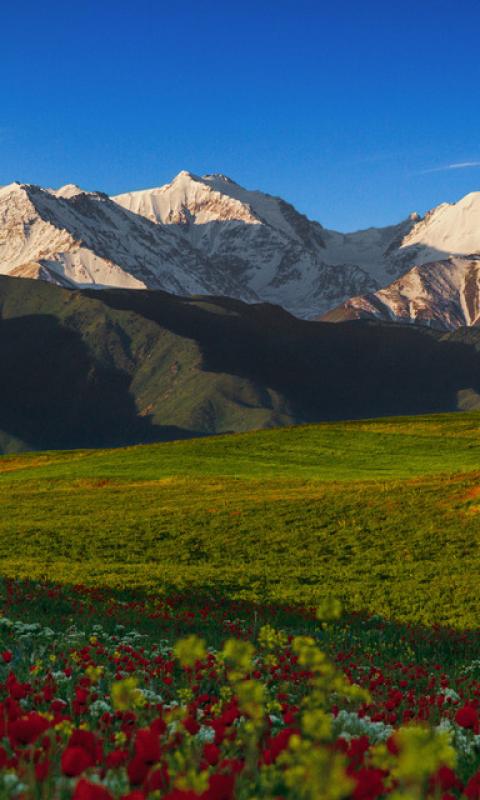 Springtime in Kyrgyzstan: What’s There to Do? | Trip to Kyrgyzstan