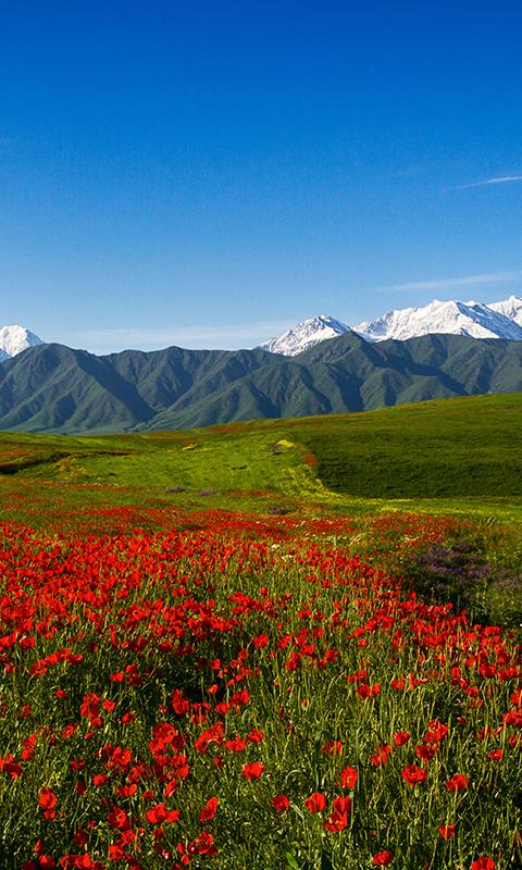 Chuy Region | Trip to Kyrgyzstan