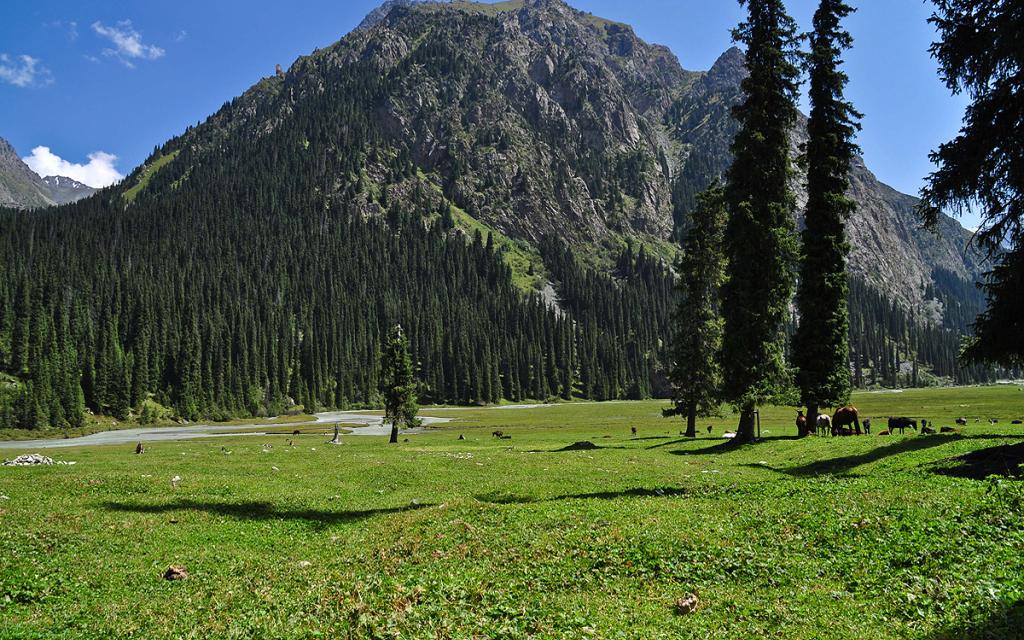 Karakol Gorge