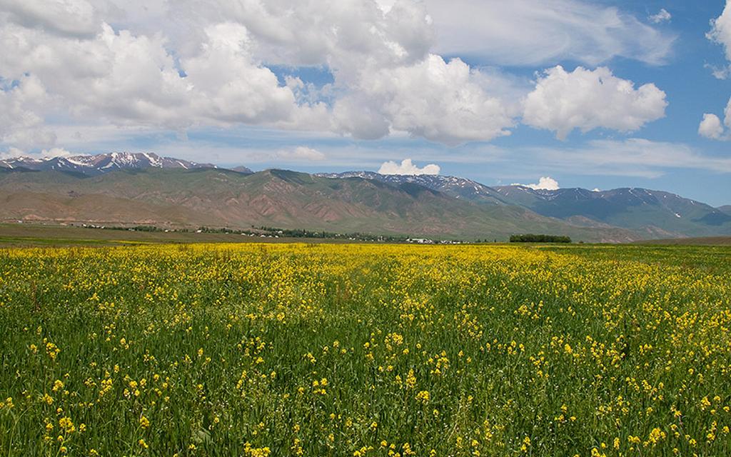Kyzart Pass